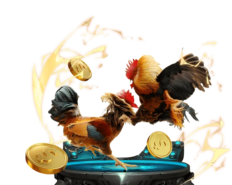 Lịch sử phát triển KU TO